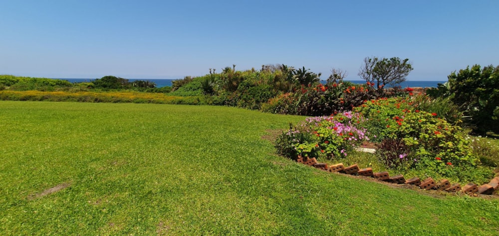 House for sale in Port Edward - 1PD1685520 House for sale in Port Edward - 1PD1685520