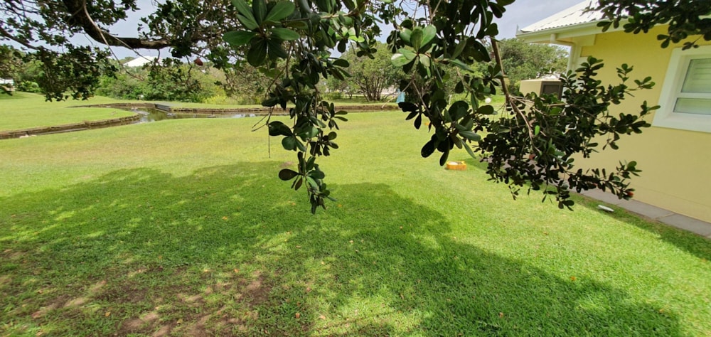 Residential vacant land for sale in Port Edward - 1PD1685810