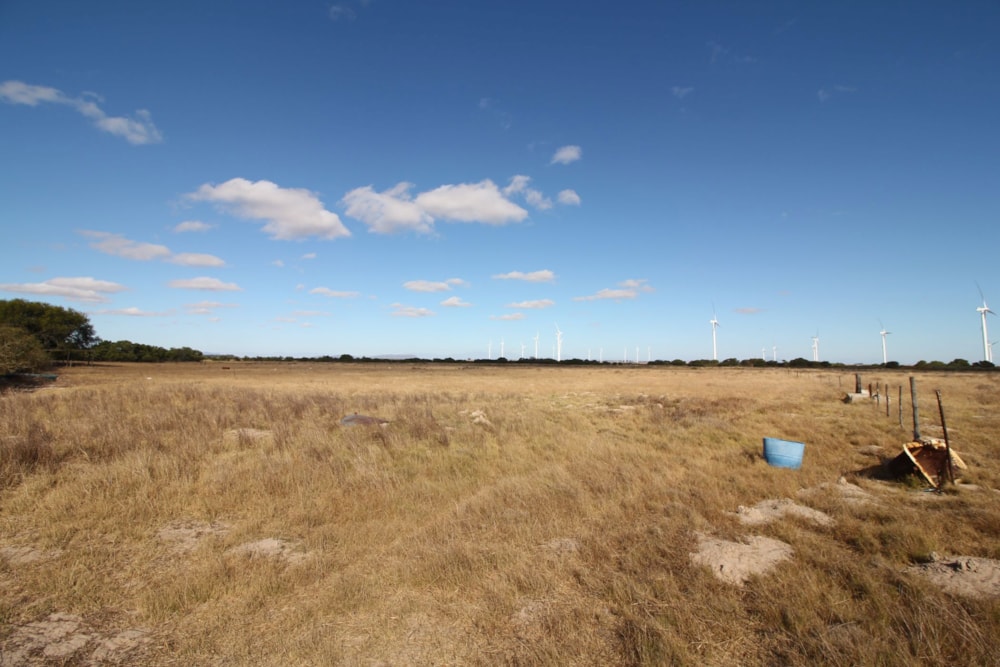Mixed use farm for sale in Hopefield - LA1685912 Mixed use farm for sale in Hopefield - LA1685912