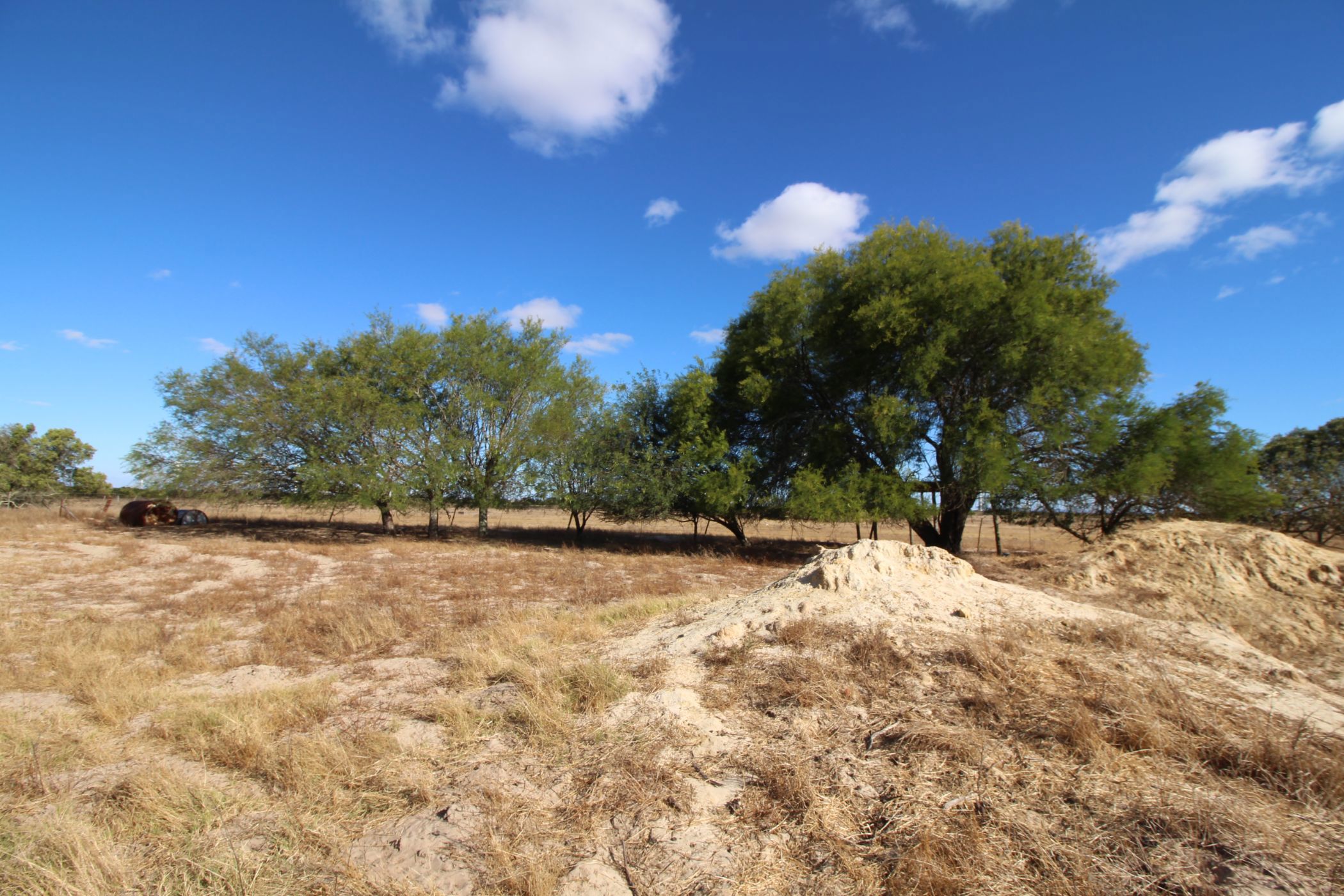 Mixed use farm for sale in Hopefield - LA1685912