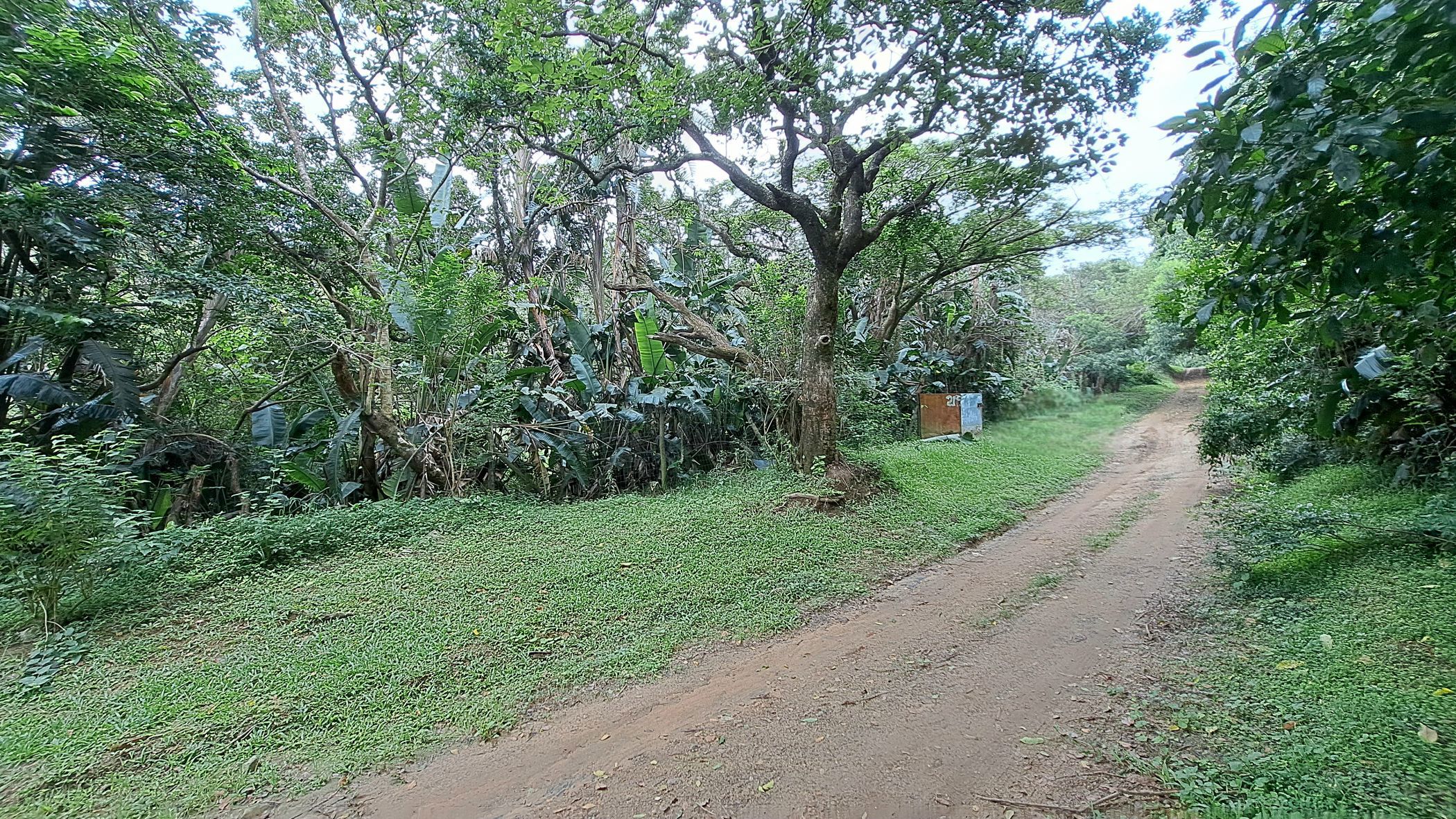 Vacant land for sale in Hibberdene - 1PSH1686053