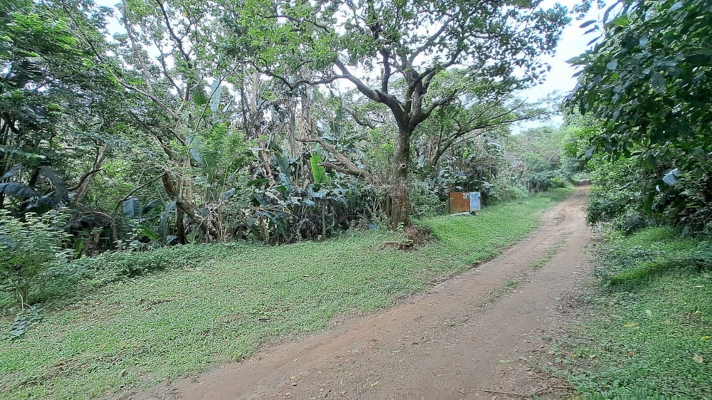 Vacant land for sale in Hibberdene - 1PSH1686053