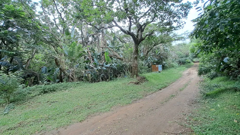 Vacant land for sale in Hibberdene - 1PSH1686053 Vacant land for sale in Hibberdene - 1PSH1686053