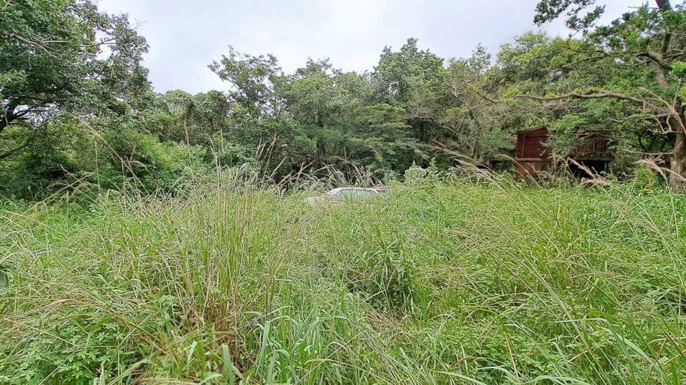 Vacant land for sale in Hibberdene - 1PSH1686053
