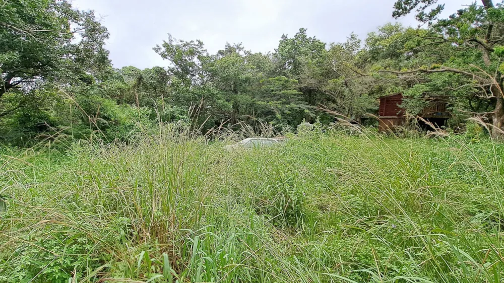 Vacant land for sale in Hibberdene - 1PSH1686053 Vacant land for sale in Hibberdene - 1PSH1686053
