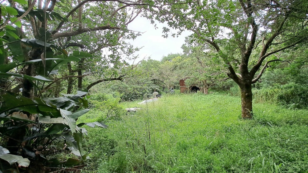 Vacant land for sale in Hibberdene - 1PSH1686053