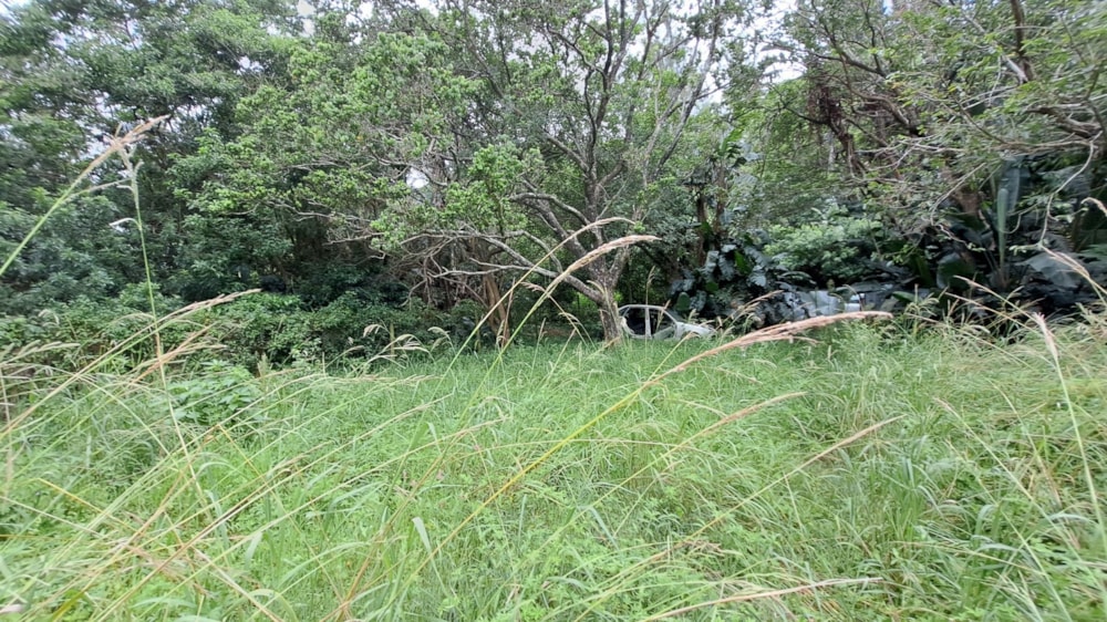 Vacant land for sale in Hibberdene - 1PSH1686053