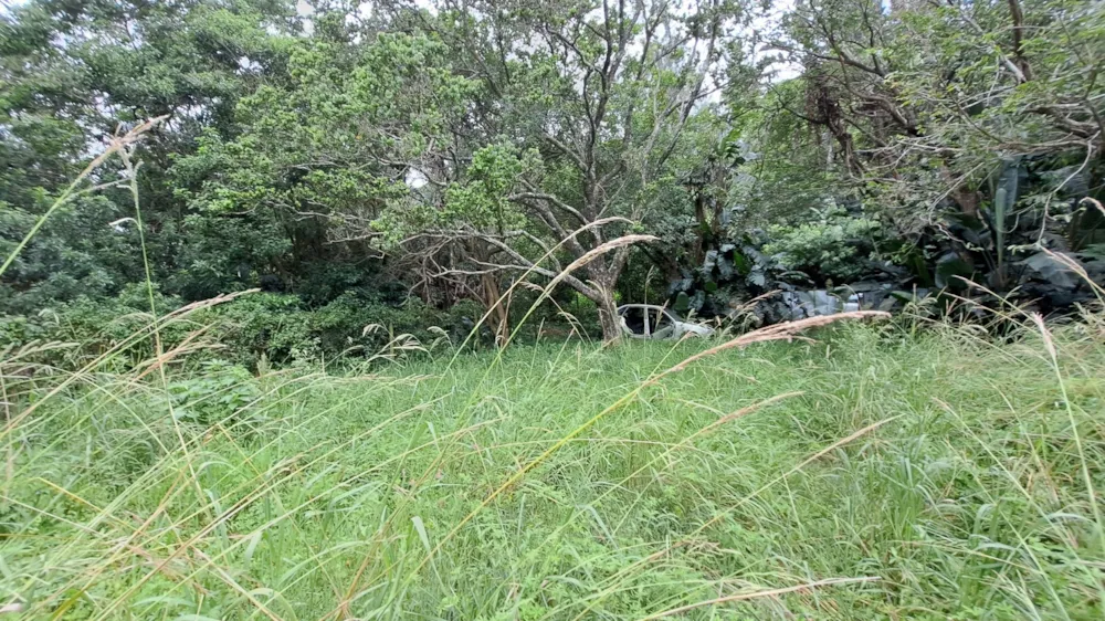 Vacant land for sale in Hibberdene - 1PSH1686053 Vacant land for sale in Hibberdene - 1PSH1686053