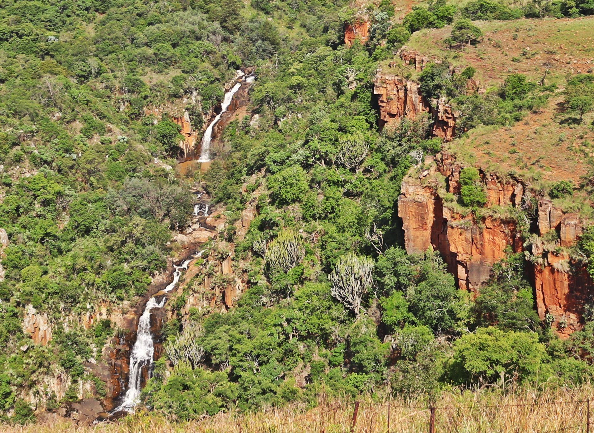 Mixed use farm for sale in Lydenburg Rural (Mashishing Rural)  - 1LY1687156