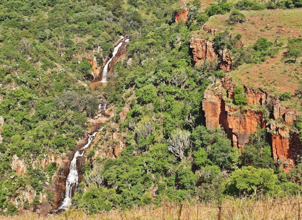 Mixed use farm for sale in Lydenburg Rural (Mashishing Rural)  - 1LY1687156 Mixed use farm for sale in Lydenburg Rural (Mashishing Rural)  - 1LY1687156