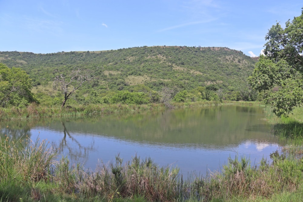 Mixed use farm for sale in Lydenburg Rural (Mashishing Rural)  - 1LY1687156 Mixed use farm for sale in Lydenburg Rural (Mashishing Rural)  - 1LY1687156