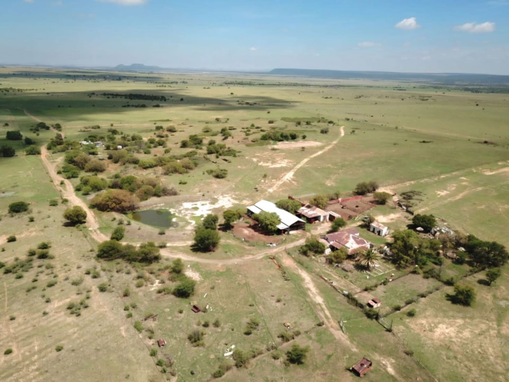 Breeding farm for sale in Brandfort - 1BX1686707