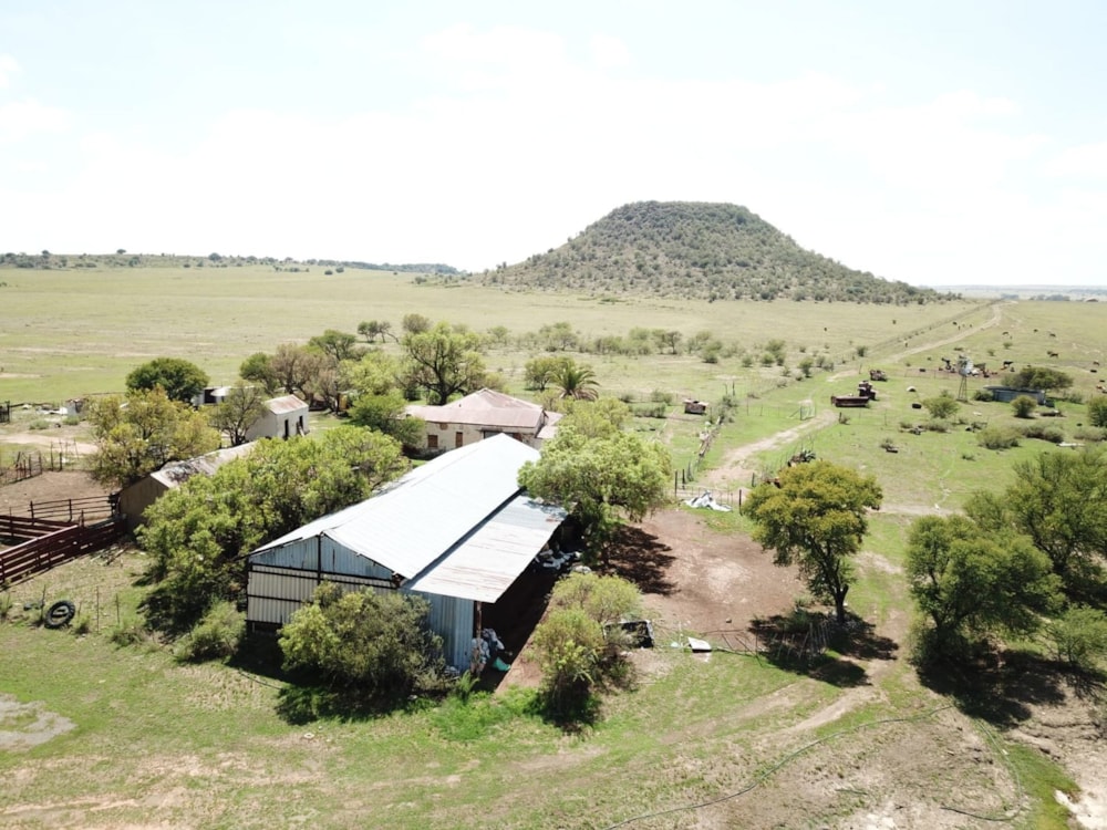 Breeding farm for sale in Brandfort - 1BX1686707