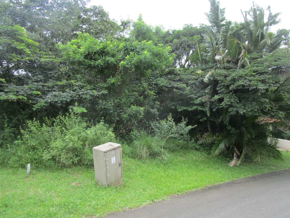 Vacant land for sale in Pennington - 1SI1686025 Vacant land for sale in Pennington - 1SI1686025