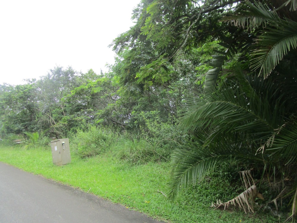 Vacant land for sale in Pennington - 1SI1686025 Vacant land for sale in Pennington - 1SI1686025