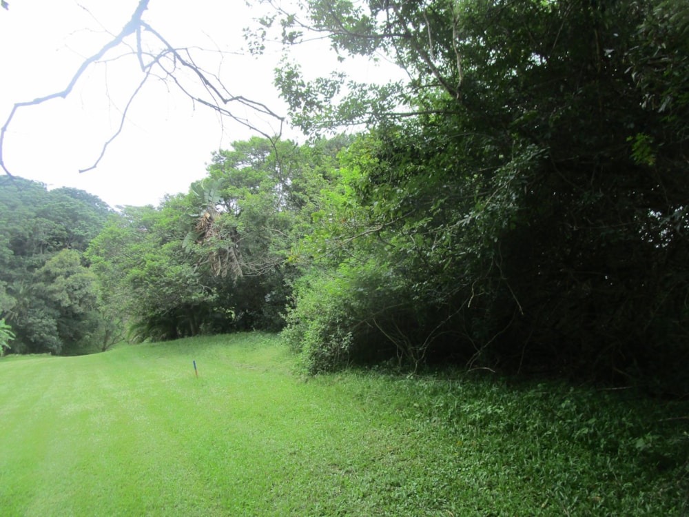 Vacant land for sale in Pennington - 1SI1686025 Vacant land for sale in Pennington - 1SI1686025