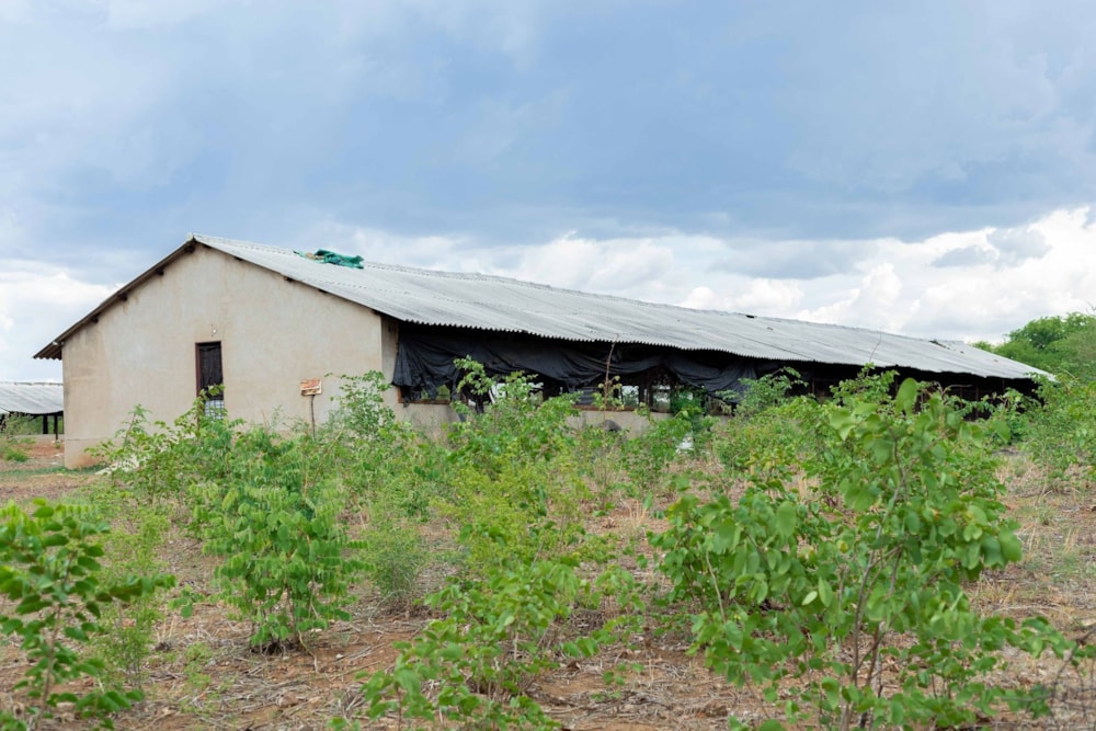 Commercial vacant land for sale in Victoria Falls, Zimbabwe - 3ZB1686029 Commercial vacant land for sale in Victoria Falls, Zimbabwe - 3ZB1686029