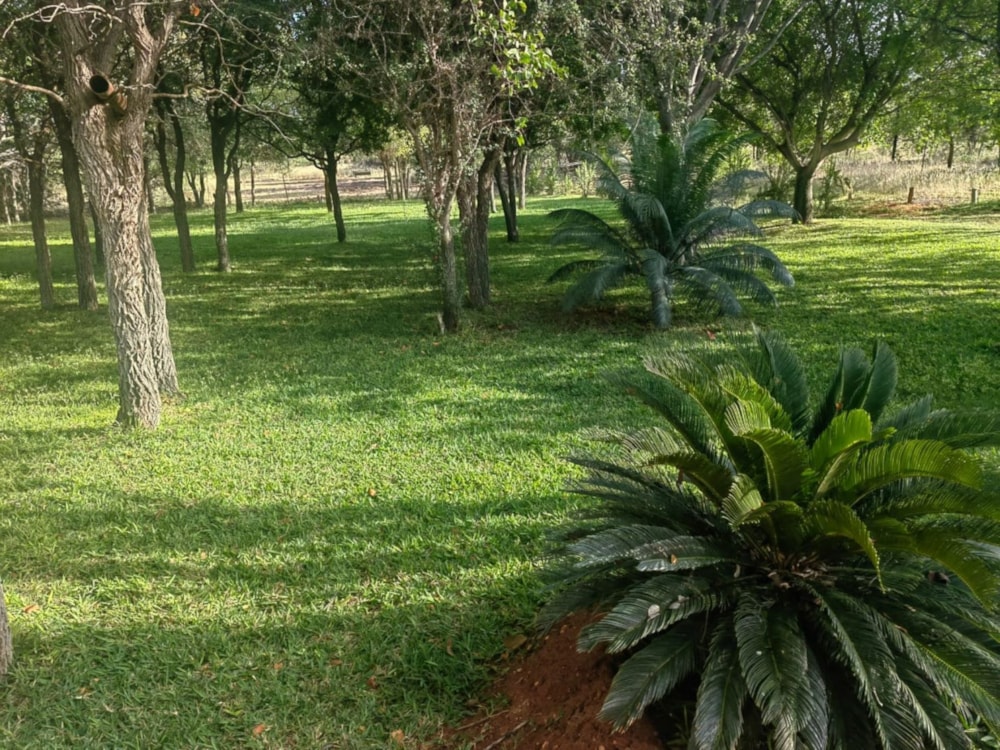 Smallholding for sale in Musina (Messina) - 1TA1686258