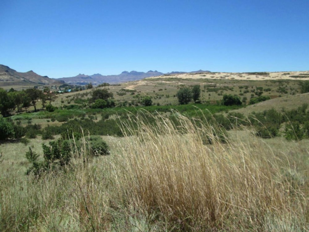 Vacant land sold in Clarens - 1CS1686270 Vacant land sold in Clarens - 1CS1686270
