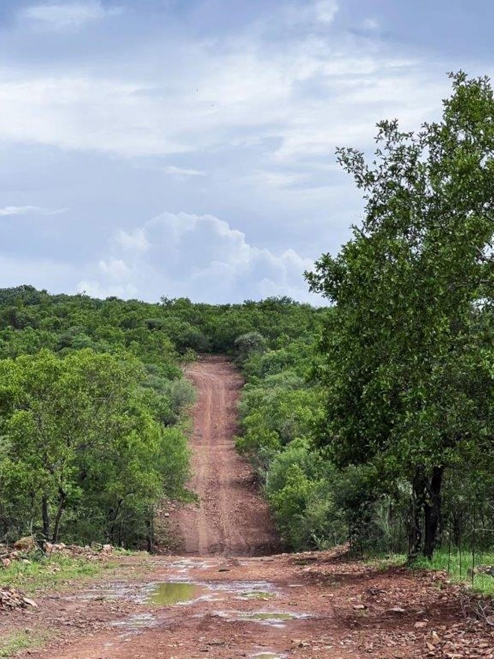 Vacant land for sale in Mmokolodi, Botswana - 3BO1686337 Vacant land for sale in Mmokolodi, Botswana - 3BO1686337