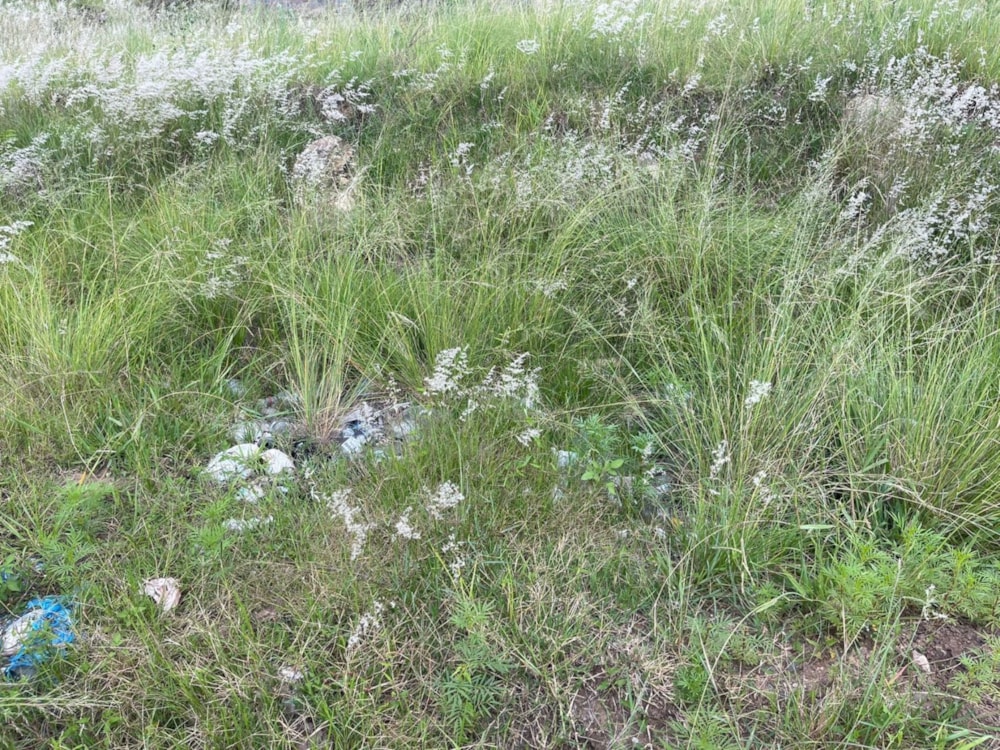 Vacant land for sale in Mthatha - 1MH1686584 Vacant land for sale in Mthatha - 1MH1686584