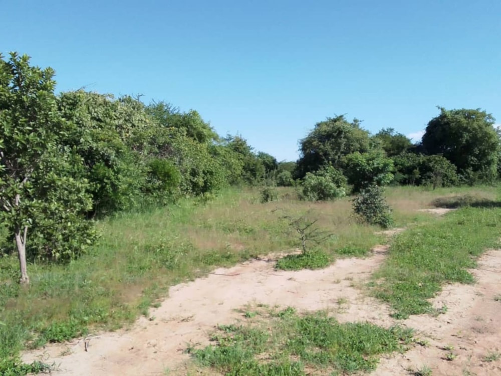 Vacant land for sale in Lusaka Province, Zambia - 3ZA1686604