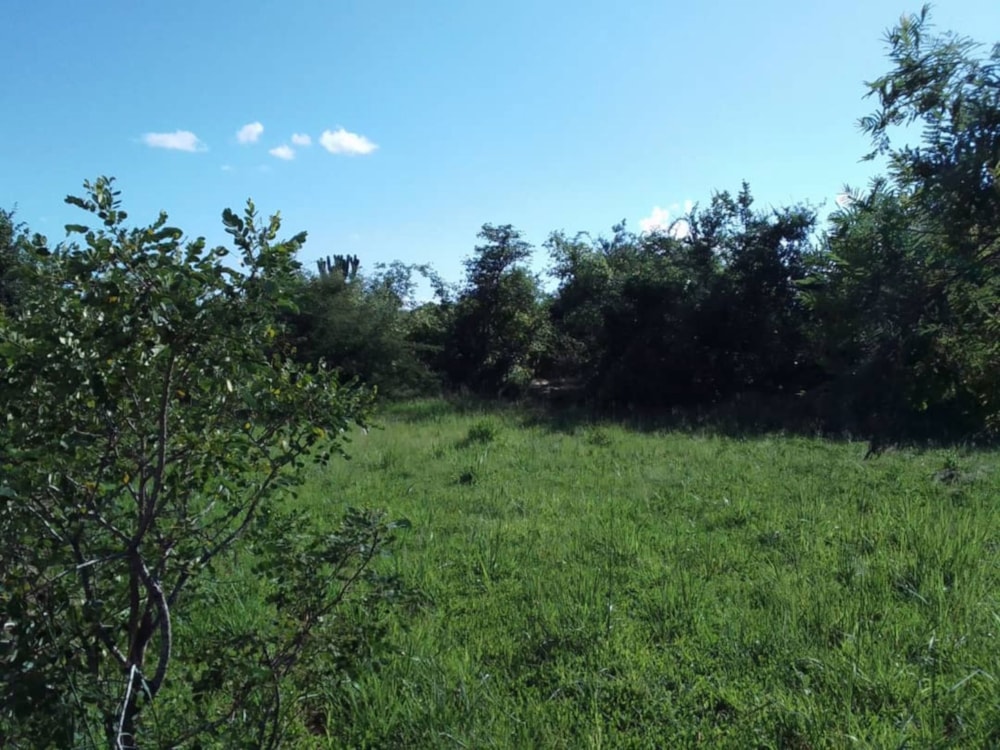 Vacant land for sale in Lusaka Province, Zambia - 3ZA1686604