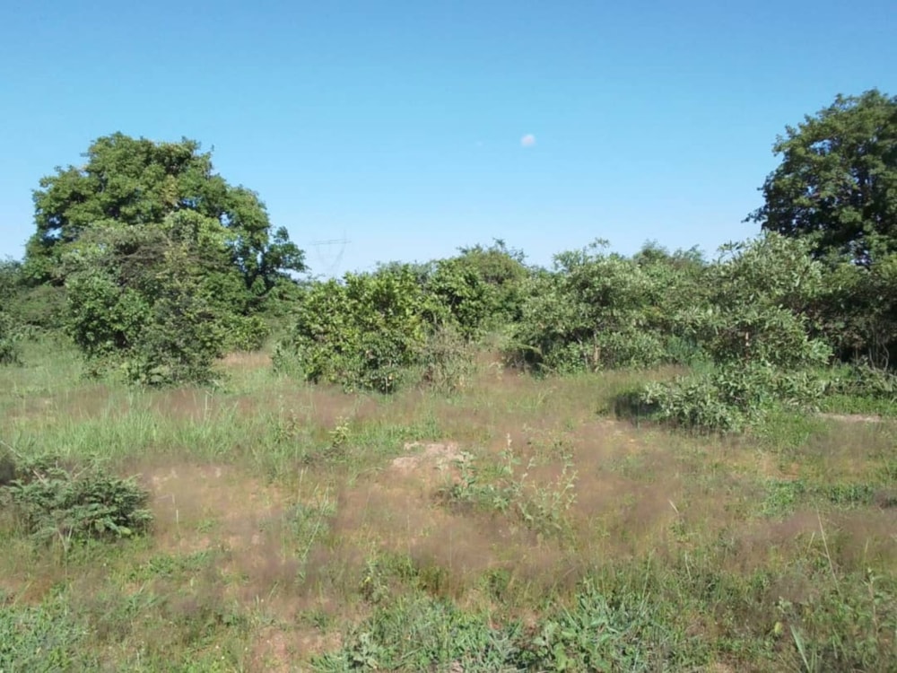 Vacant land for sale in Lusaka Province, Zambia - 3ZA1686604