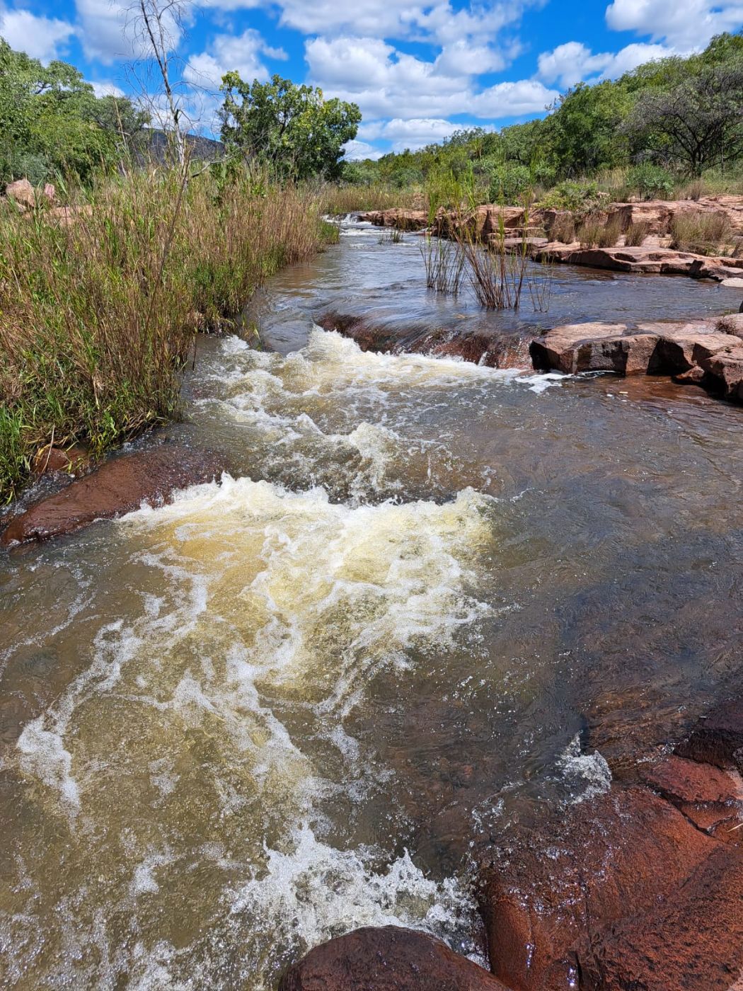 Game farm for sale in Lephalale Rural - 1ER1686688