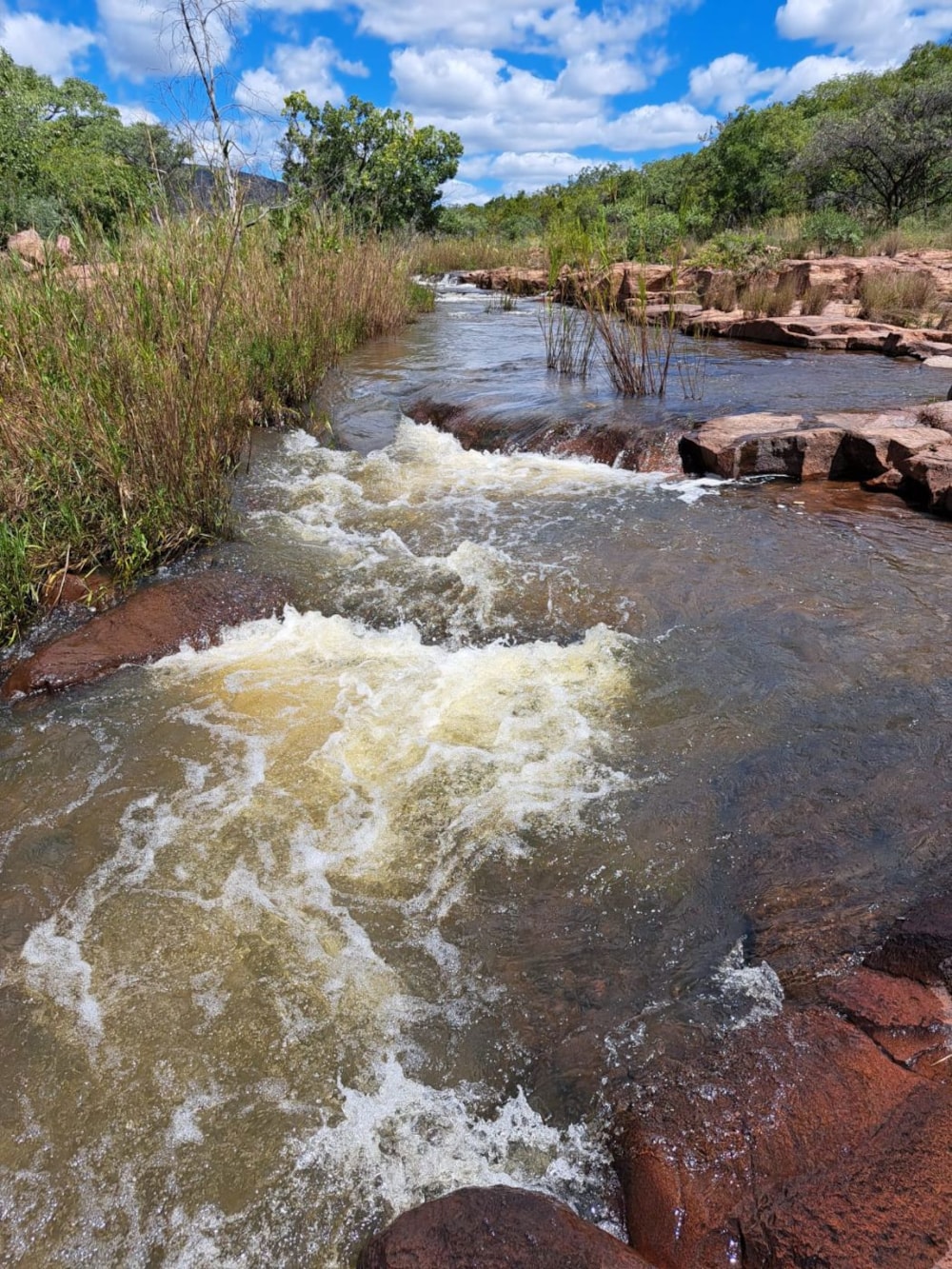 Game farm for sale in Lephalale Rural - 1ER1686688 Game farm for sale in Lephalale Rural - 1ER1686688