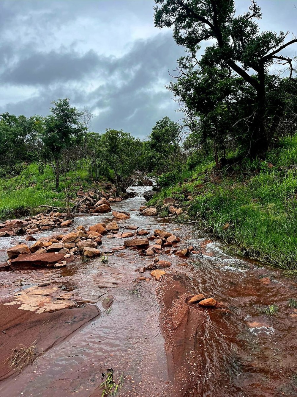 Game farm for sale in Lephalale Rural - 1ER1686688