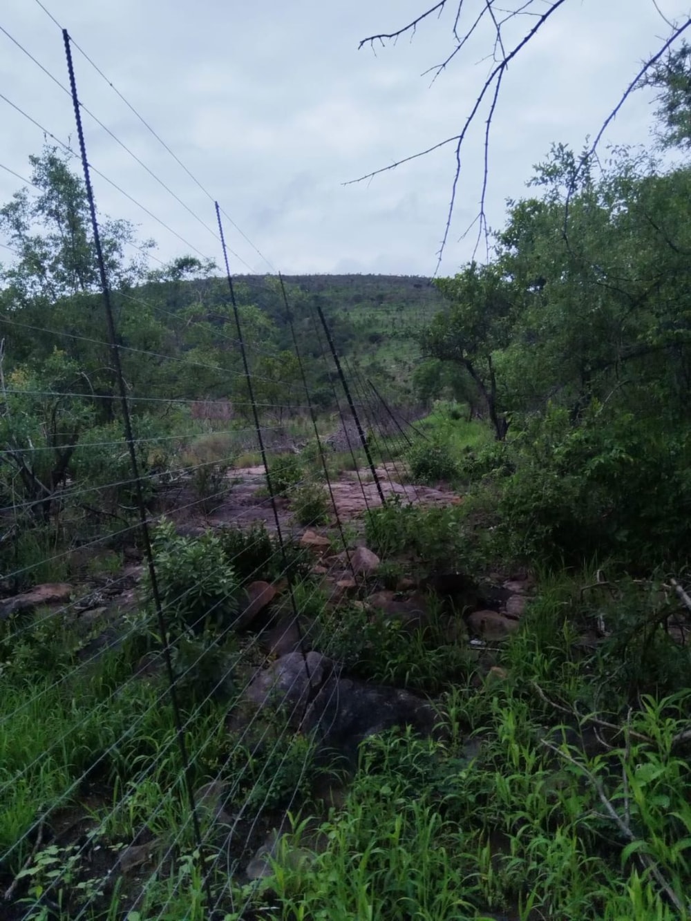 Game farm for sale in Lephalale Rural - 1ER1686688 Game farm for sale in Lephalale Rural - 1ER1686688