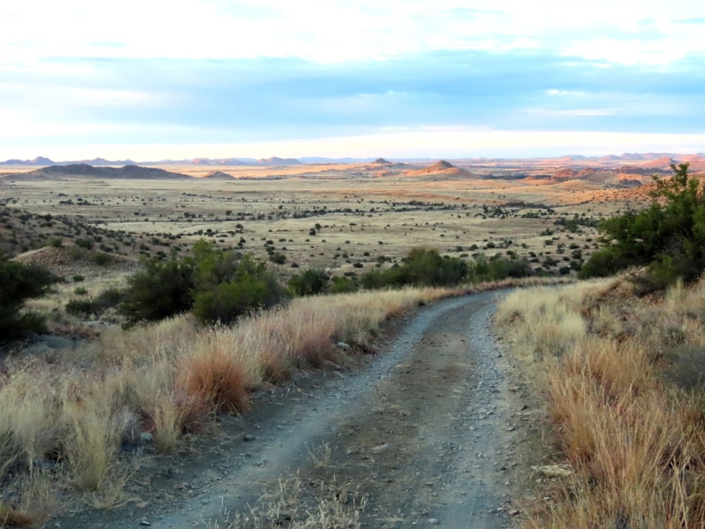 Game farm for sale in Northern Karoo Farms - 1KK1686642 Game farm for sale in Northern Karoo Farms - 1KK1686642