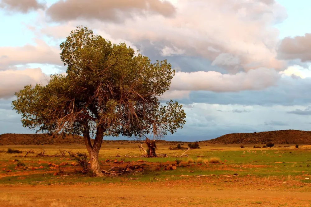 Game farm for sale in Northern Karoo Farms - 1KK1686642 Game farm for sale in Northern Karoo Farms - 1KK1686642