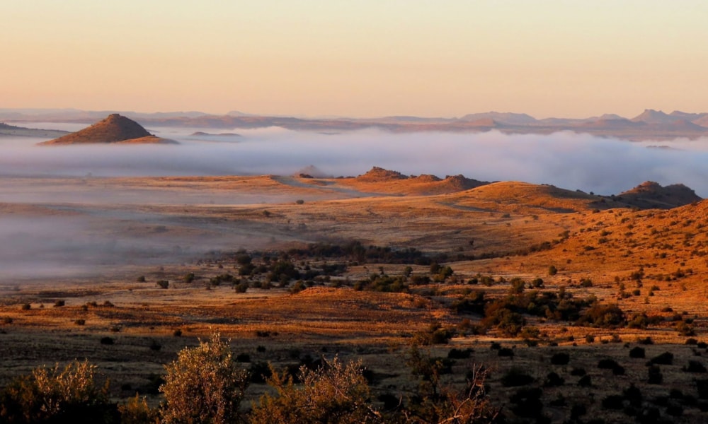Game farm for sale in Northern Karoo Farms - 1KK1686642 Game farm for sale in Northern Karoo Farms - 1KK1686642