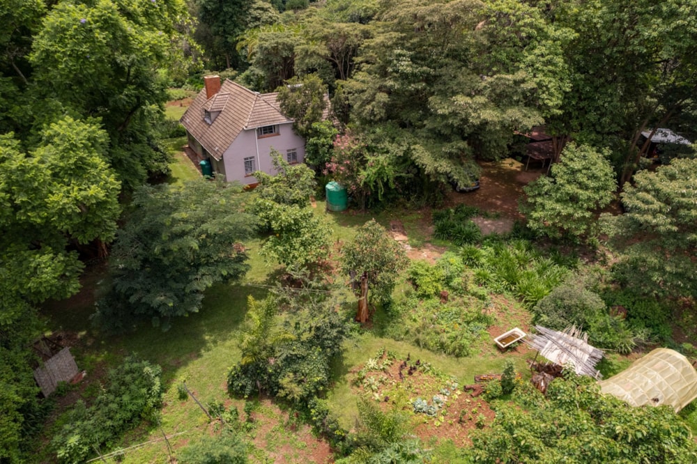 House to rent in Highlands, Zimbabwe - 3ZB1695684