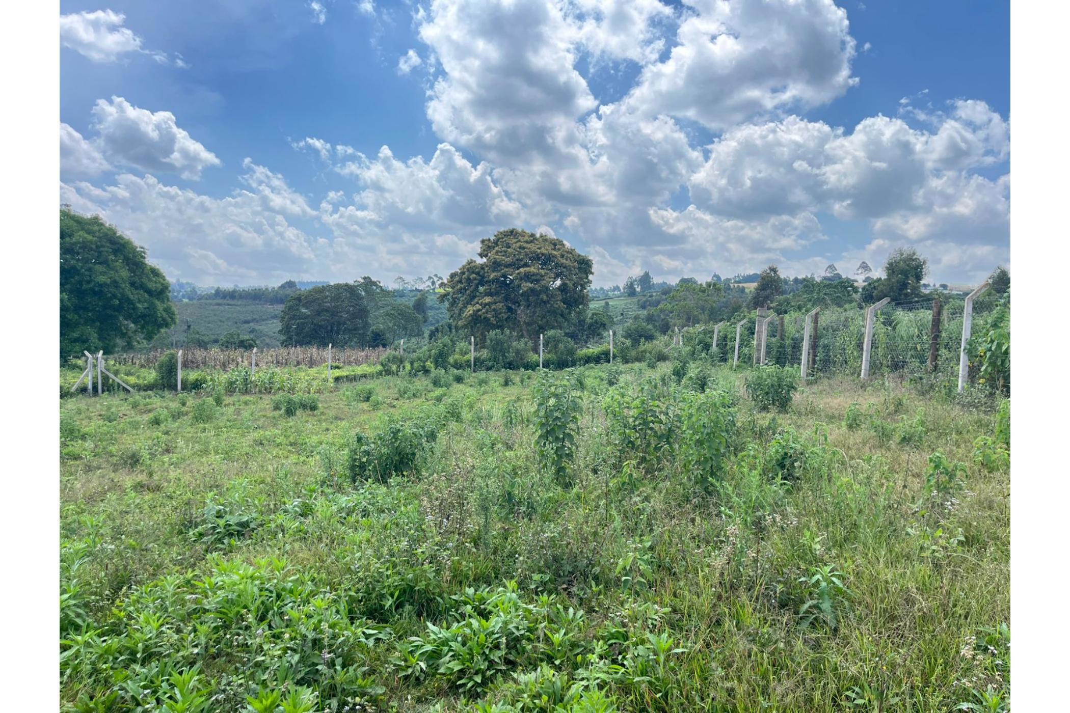 Vacant land sold in Tigoni, Kenya - 3KE1691089