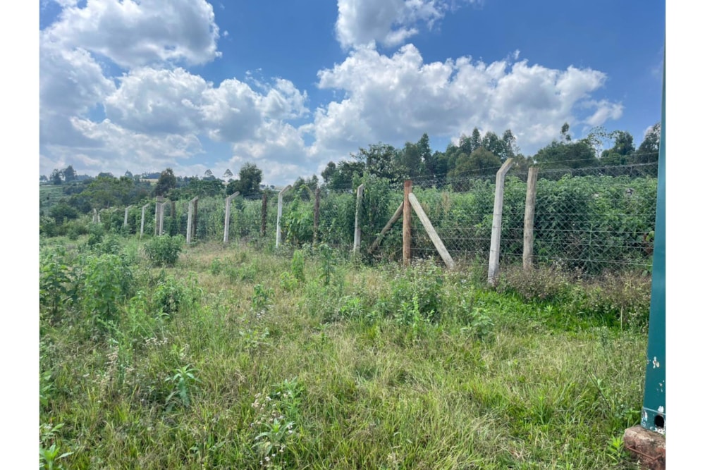 Vacant land sold in Tigoni, Kenya - 3KE1691089 Vacant land sold in Tigoni, Kenya - 3KE1691089