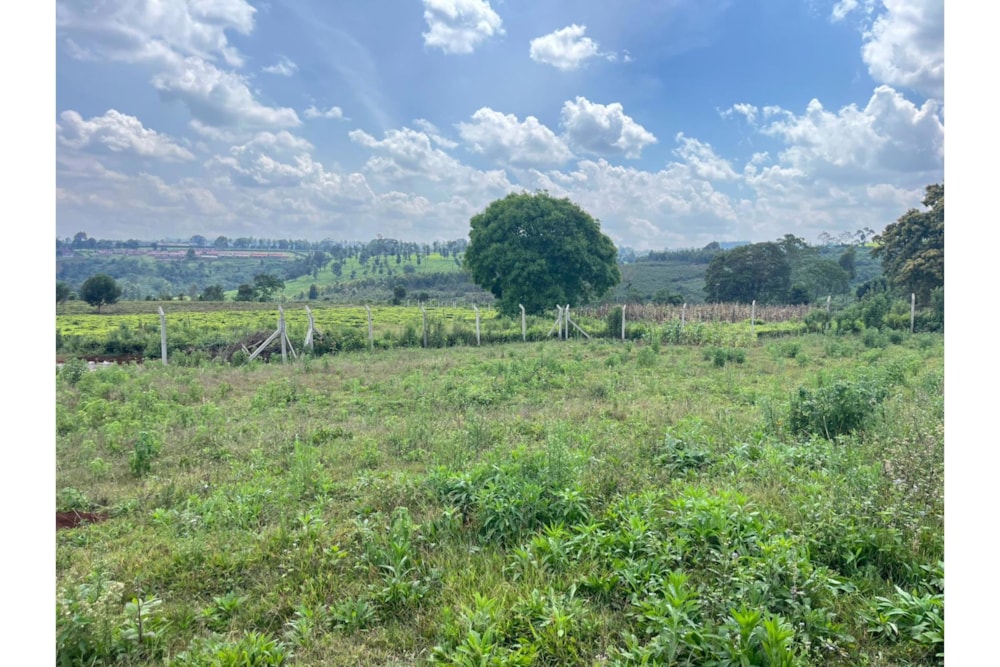 Vacant land sold in Tigoni, Kenya - 3KE1691089 Vacant land sold in Tigoni, Kenya - 3KE1691089