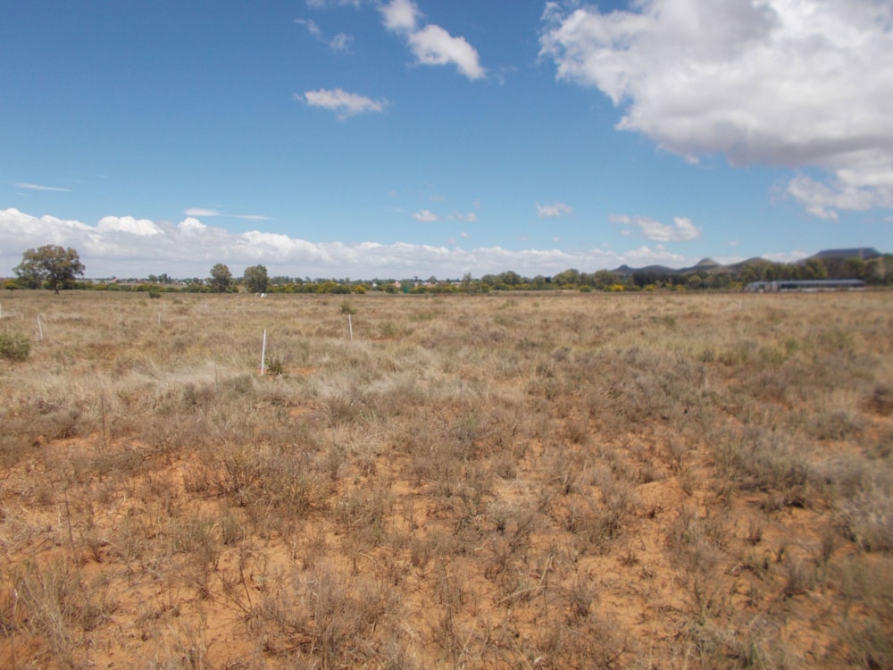 Vacant land for sale in Bethulie - 1KK1686875