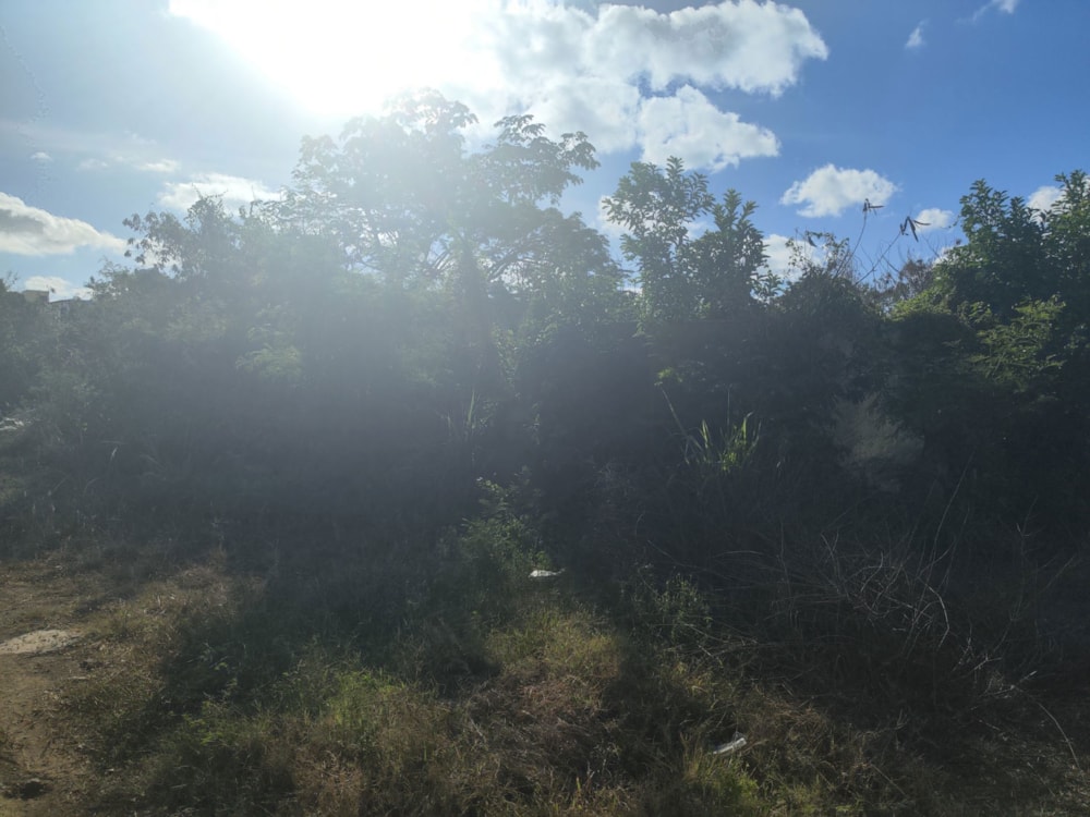 Vacant land for sale in Grand Baie, Grand Bay, Mauritius - MPR1686920 Vacant land for sale in Grand Baie, Grand Bay, Mauritius - MPR1686920