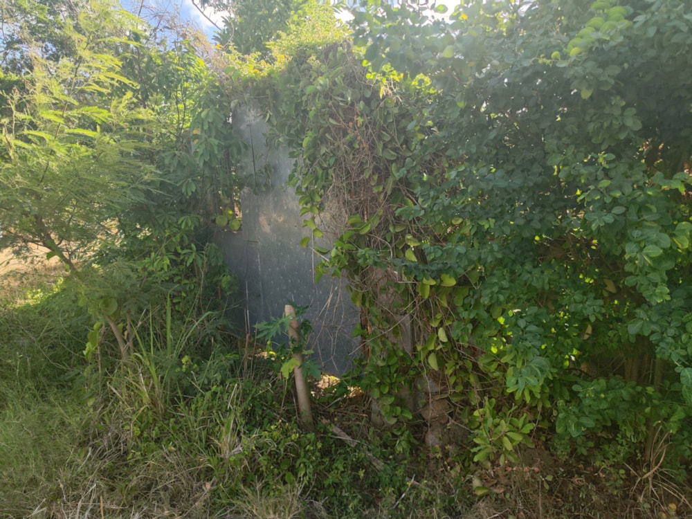 Vacant land for sale in Grand Baie, Grand Bay, Mauritius - MPR1686920 Vacant land for sale in Grand Baie, Grand Bay, Mauritius - MPR1686920