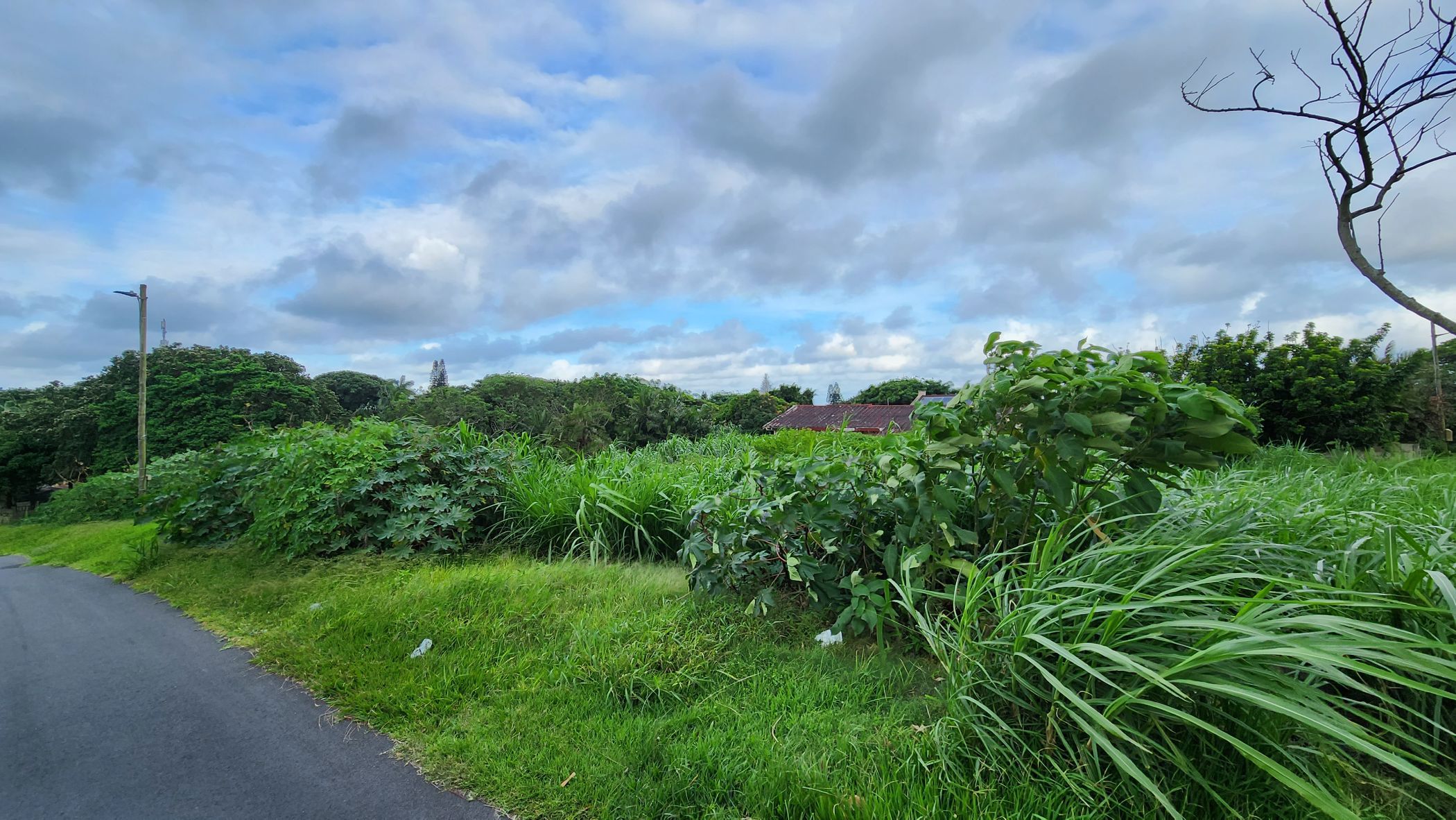 Residential vacant land for sale in Melville, Port Shepstone - 1PSH1687756