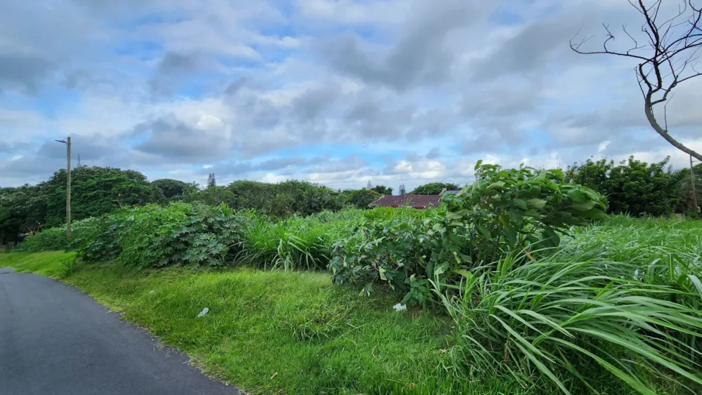 Residential vacant land for sale in Melville, Port Shepstone - 1PSH1687756 Residential vacant land for sale in Melville, Port Shepstone - 1PSH1687756