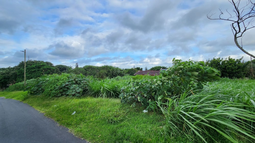 Residential vacant land for sale in Melville, Port Shepstone - 1PSH1687756 Residential vacant land for sale in Melville, Port Shepstone - 1PSH1687756