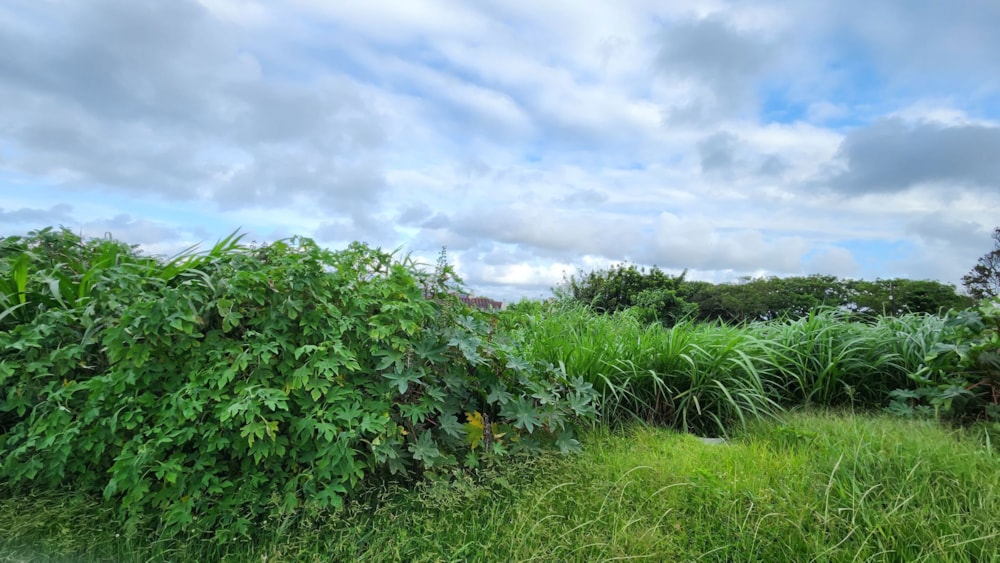 Residential vacant land for sale in Melville, Port Shepstone - 1PSH1687756 Residential vacant land for sale in Melville, Port Shepstone - 1PSH1687756