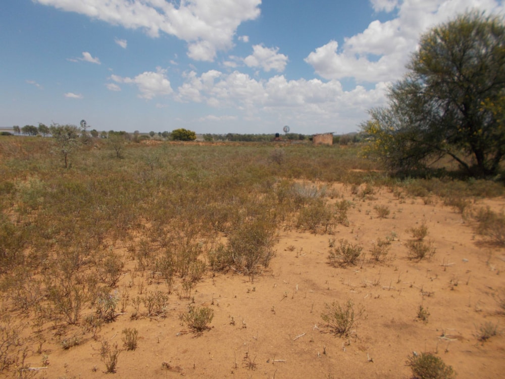 Vacant land sold in Bethulie - 1KK1687064 Vacant land sold in Bethulie - 1KK1687064