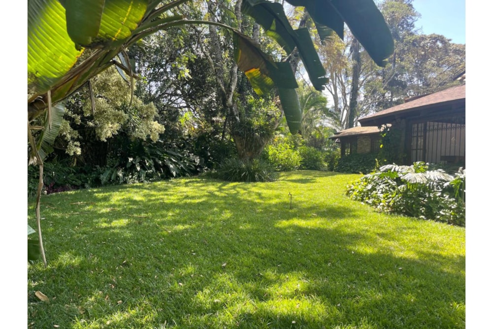 House let in Lower Kabete, Kenya - 3KE1697718 House let in Lower Kabete, Kenya - 3KE1697718