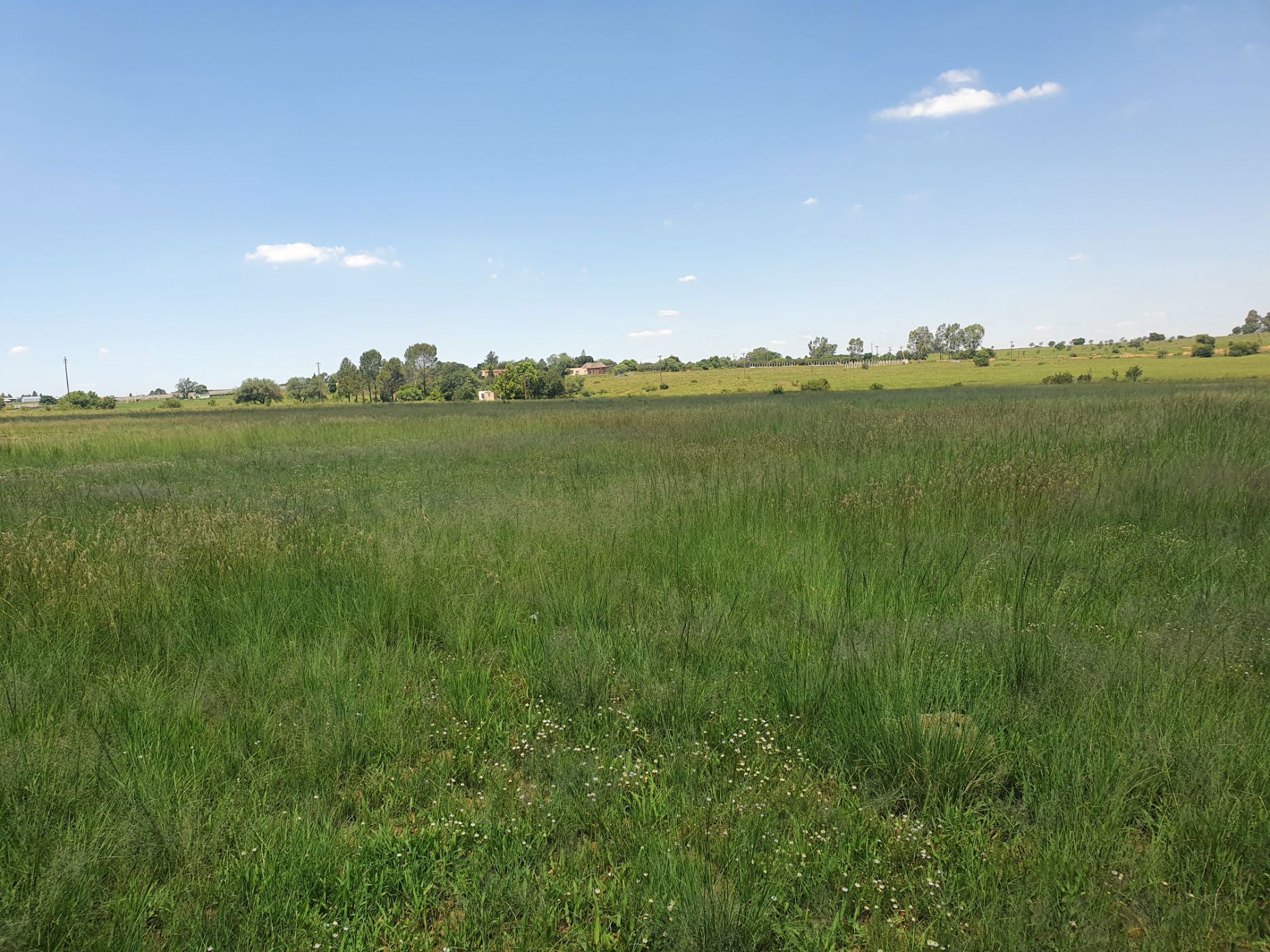 Farm vacant land for sale in Vanderwesthuizenhoogte - 1VT1687912
