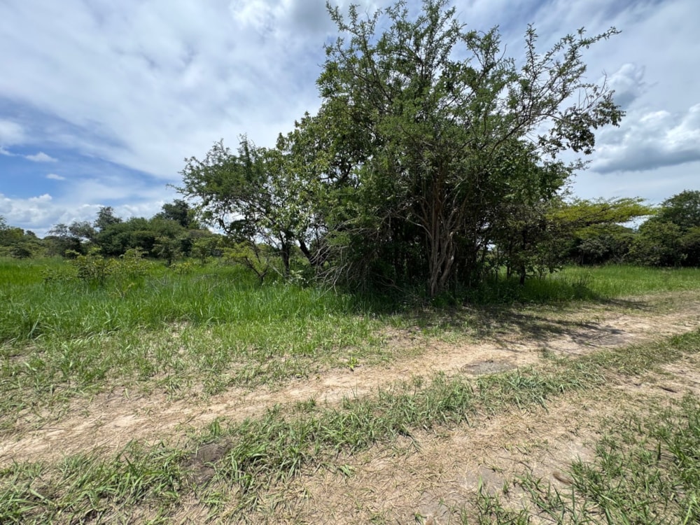 Vacant land for sale in Ngwerere, Lusaka, Zambia - 3ZA1687364